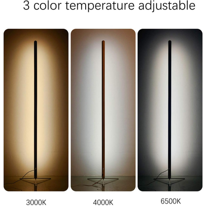 Elegant LED Floor Remote Control Standing Dimmable Light