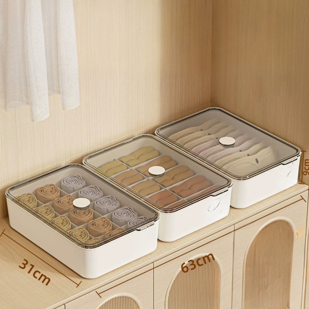 Smart Compartment Airtight Stackable Multipurpose Cloth Storage Organizer