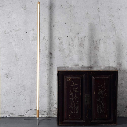 Elegant LED Floor Remote Control Standing Dimmable Light